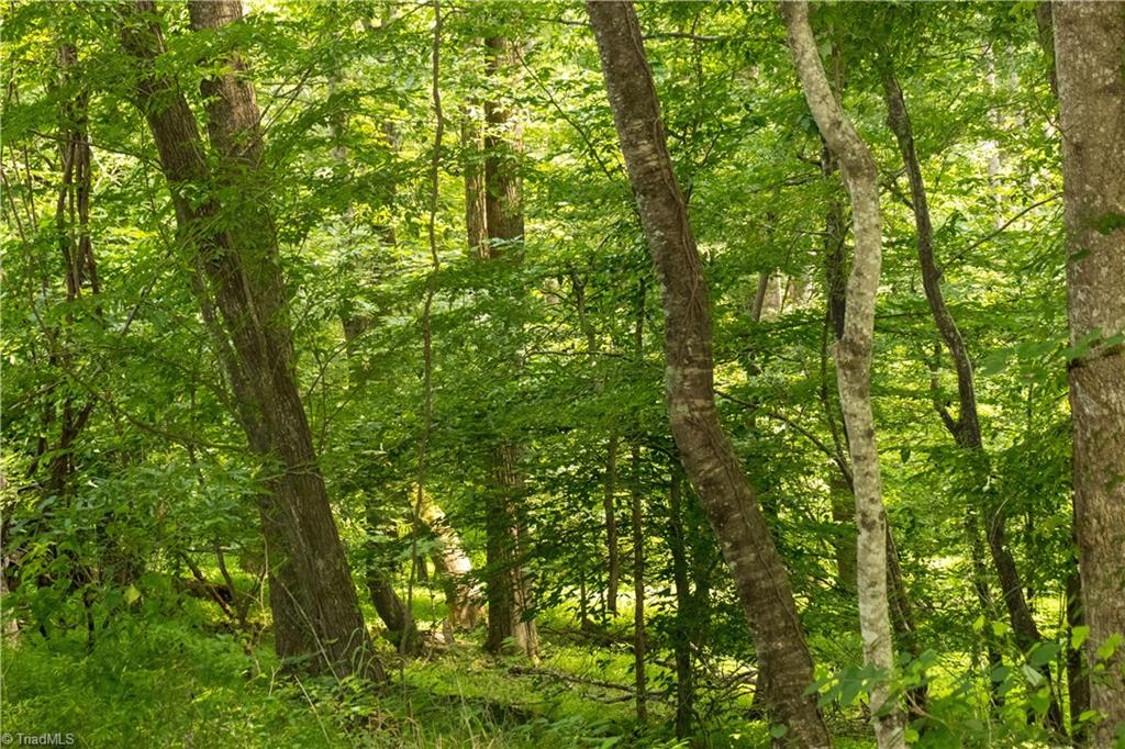 000 Lot Joyce Woodworks Road Property Photo 32