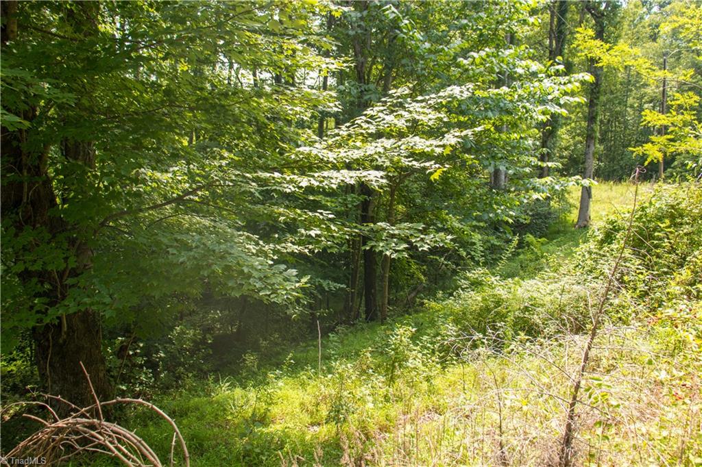 000 Lot Joyce Woodworks Road Property Photo 34