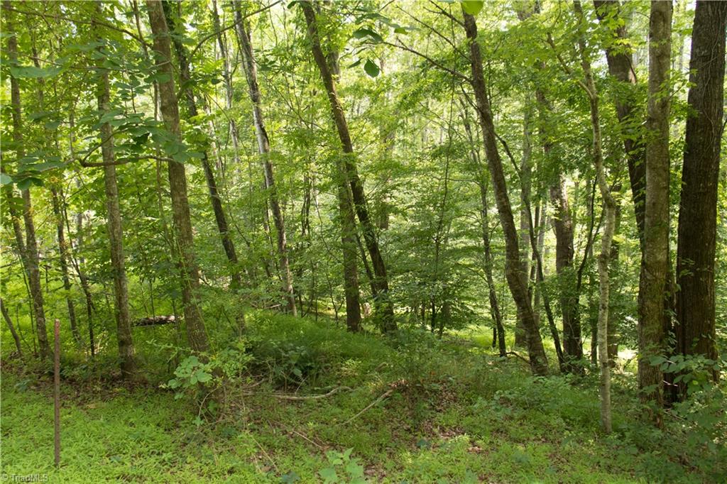 000 Lot Joyce Woodworks Road Property Photo 35