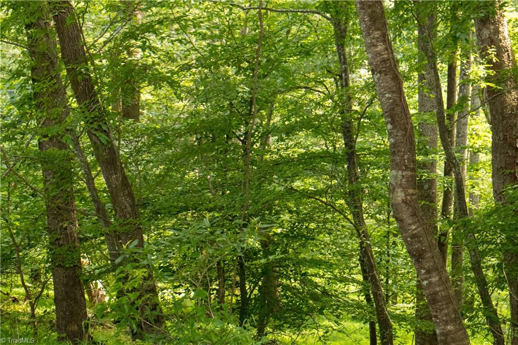 000 Lot Joyce Woodworks Road Property Photo 36