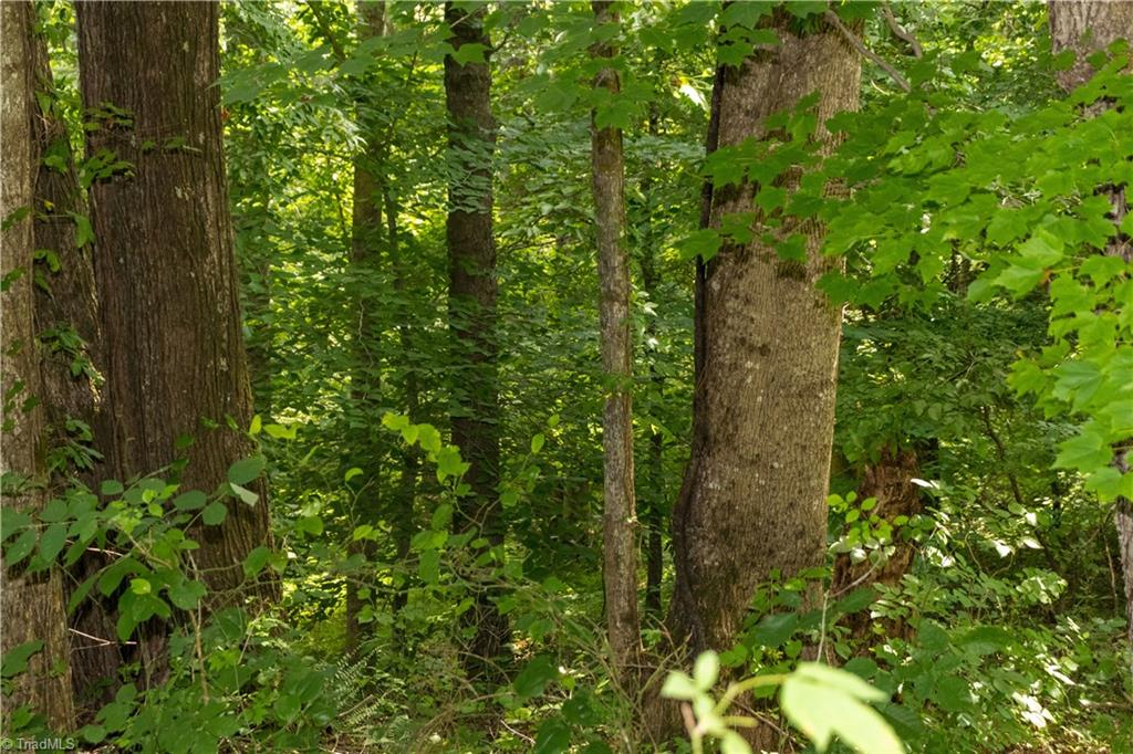 000 Lot Joyce Woodworks Road Property Photo 37