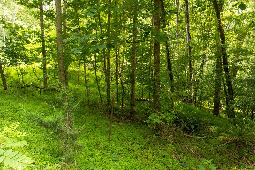 000 Lot Joyce Woodworks Road Property Photo 38