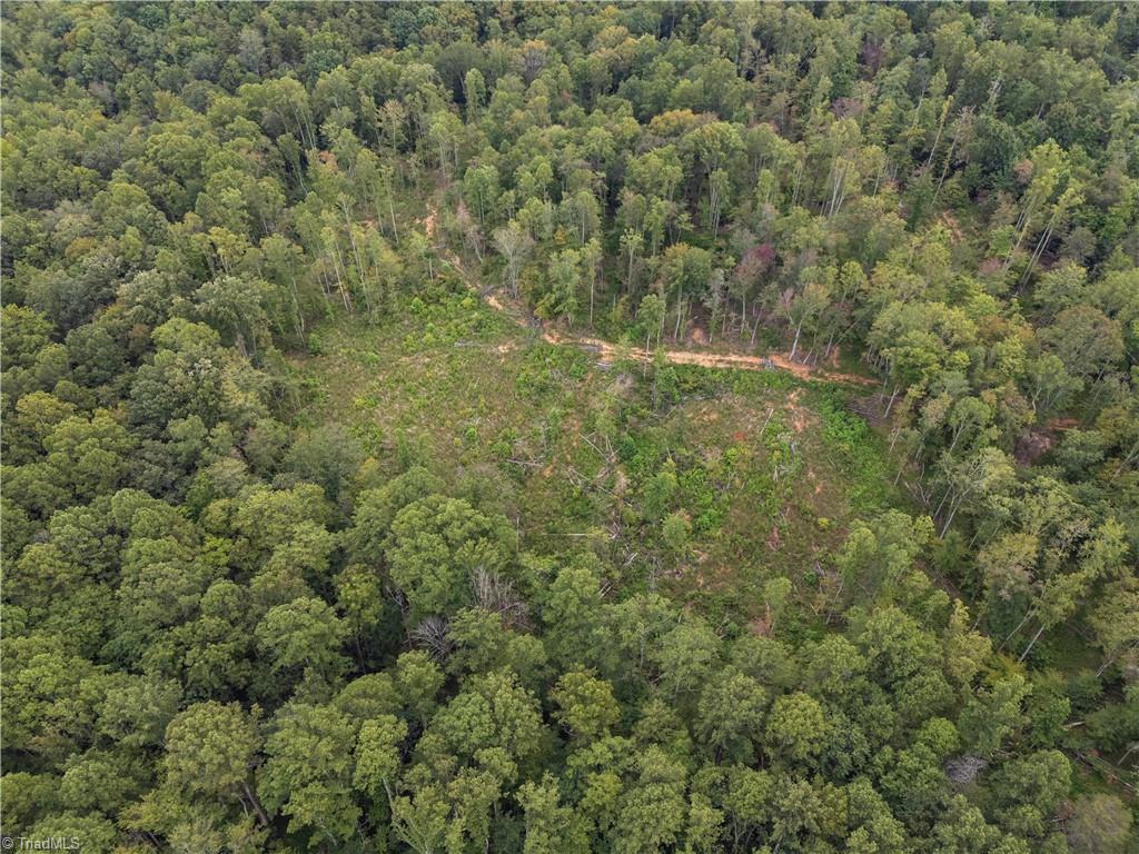 000 Lot Joyce Woodworks Road Property Photo 40