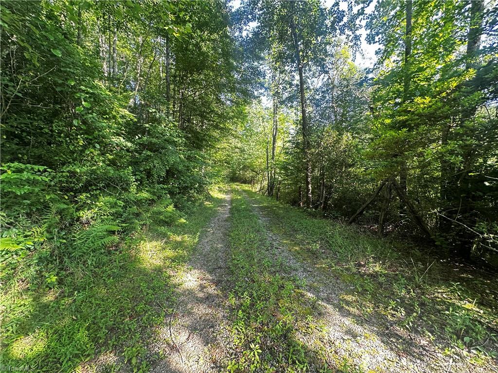 2034 Champion Mt Pleasant Road Property Photo 2