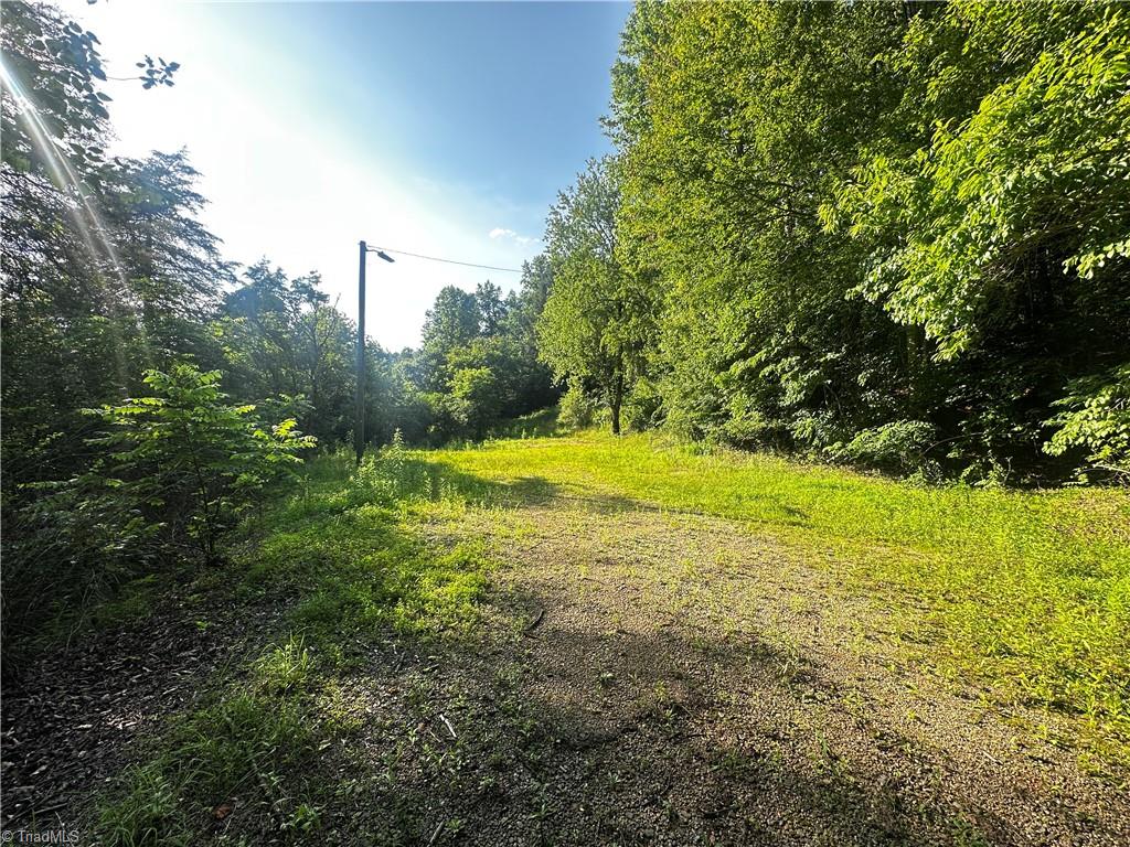 2034 Champion Mt Pleasant Road Property Photo 3