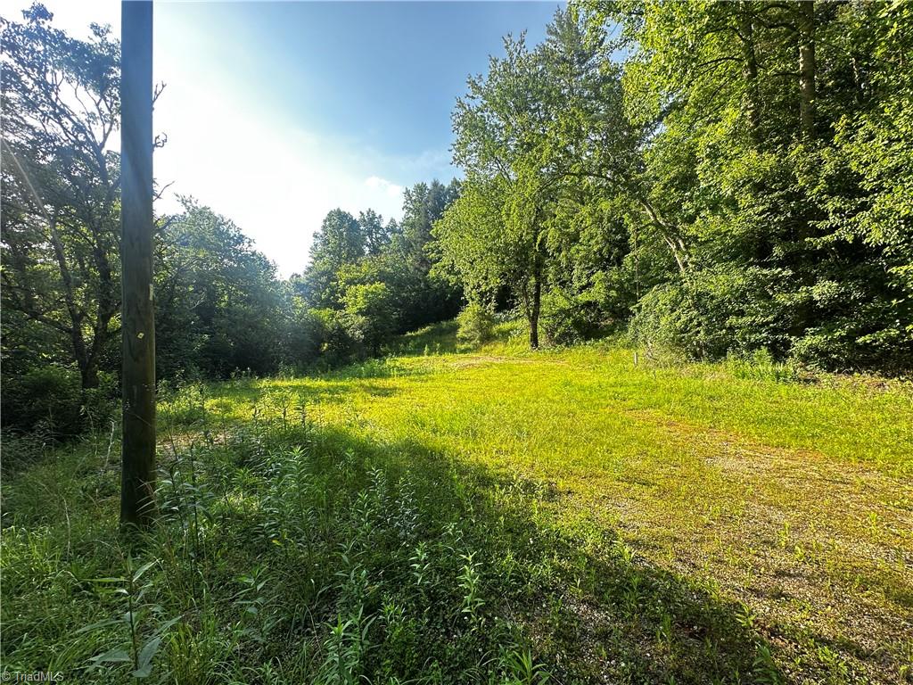 2034 Champion Mt Pleasant Road Property Photo 4