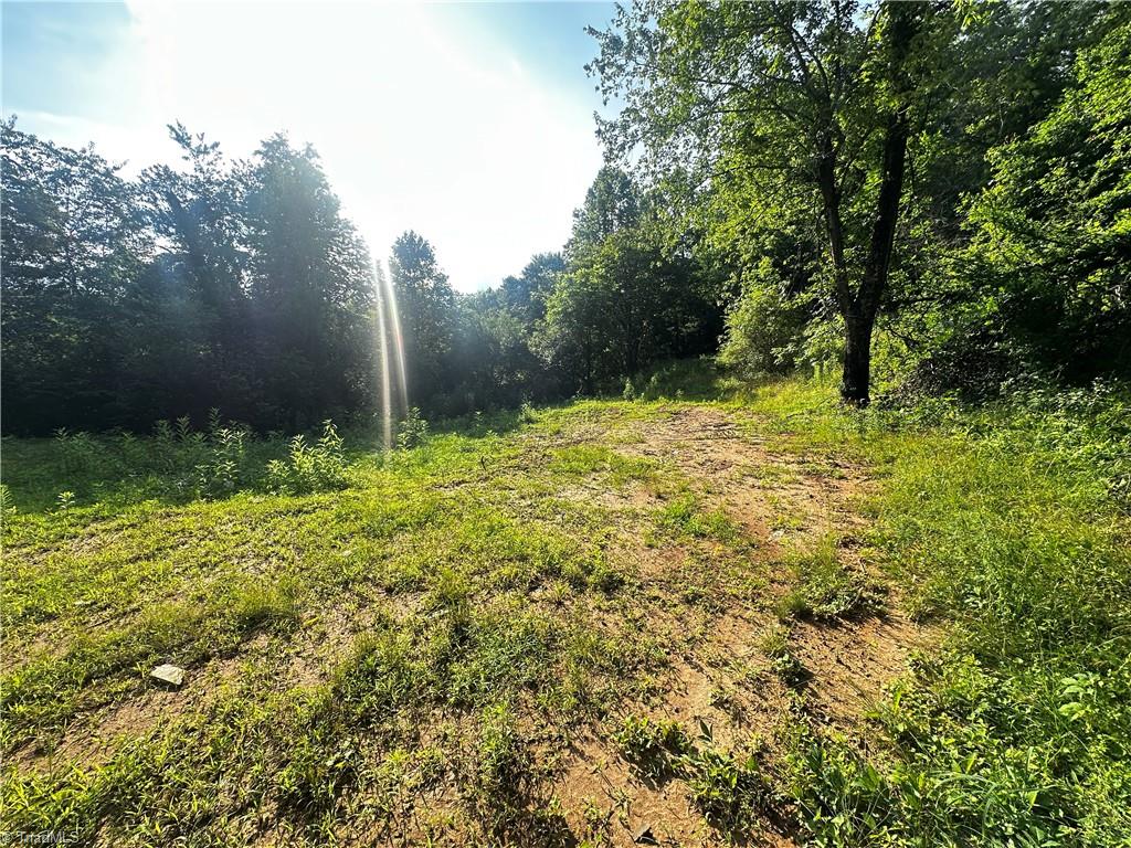 2034 Champion Mt Pleasant Road Property Photo 6