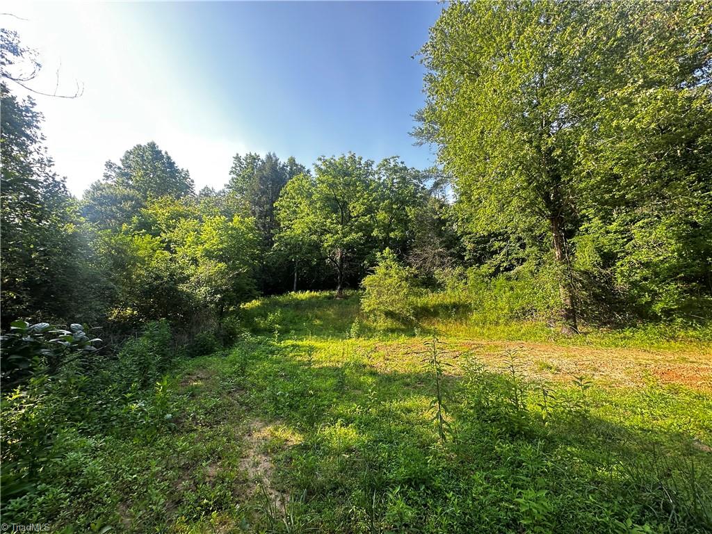 2034 Champion Mt Pleasant Road Property Photo 9