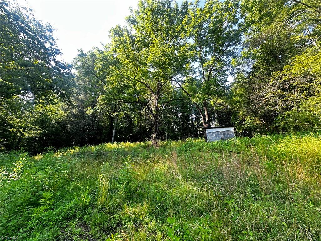 2034 Champion Mt Pleasant Road Property Photo 10