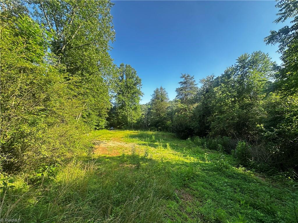 2034 Champion Mt Pleasant Road Property Photo 11