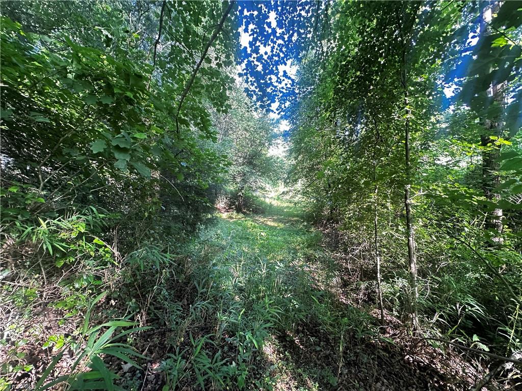 2034 Champion Mt Pleasant Road Property Photo 17