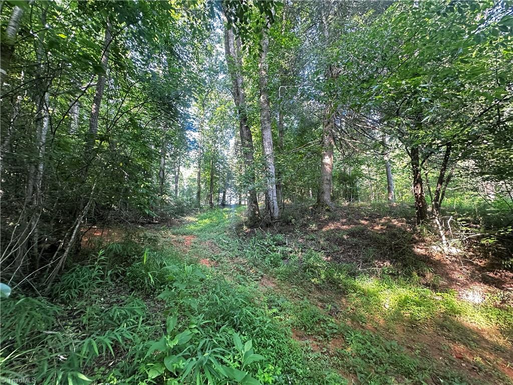 2034 Champion Mt Pleasant Road Property Photo 18