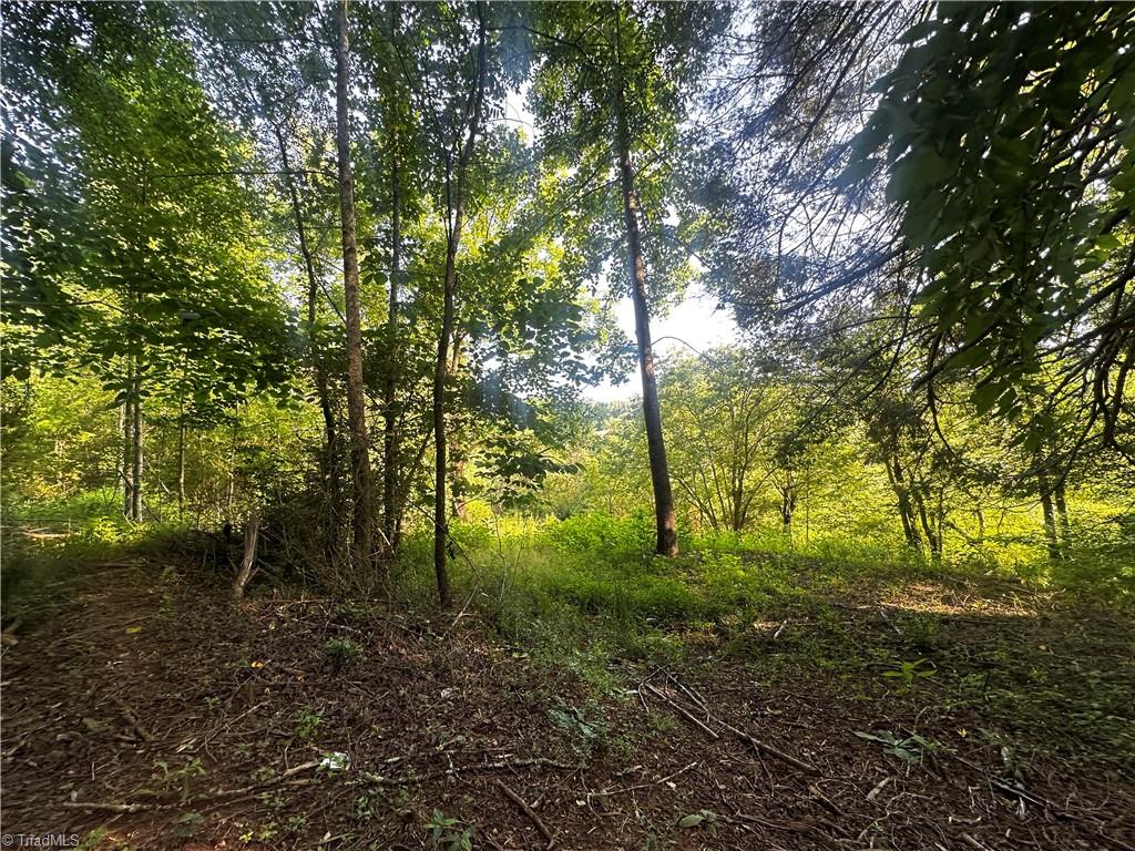 2034 Champion Mt Pleasant Road Property Photo 19