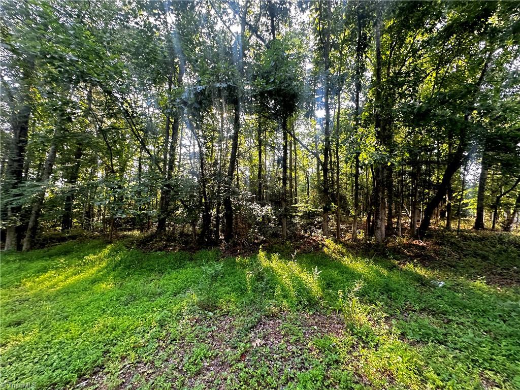 2034 Champion Mt Pleasant Road Property Photo 24
