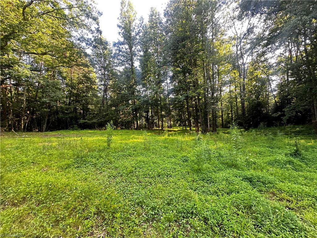 2034 Champion Mt Pleasant Road Property Photo 28