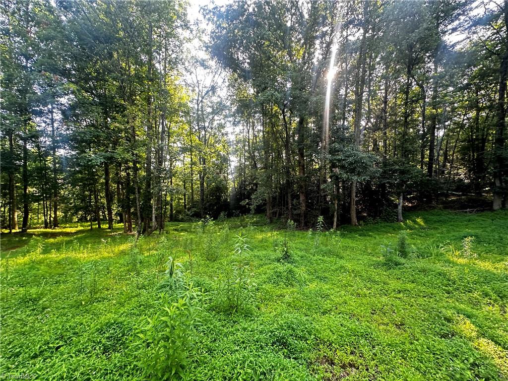 2034 Champion Mt Pleasant Road Property Photo 29