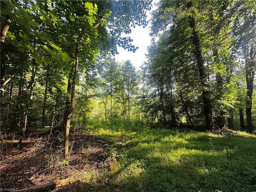2034 Champion Mt Pleasant Road Property Photo 33