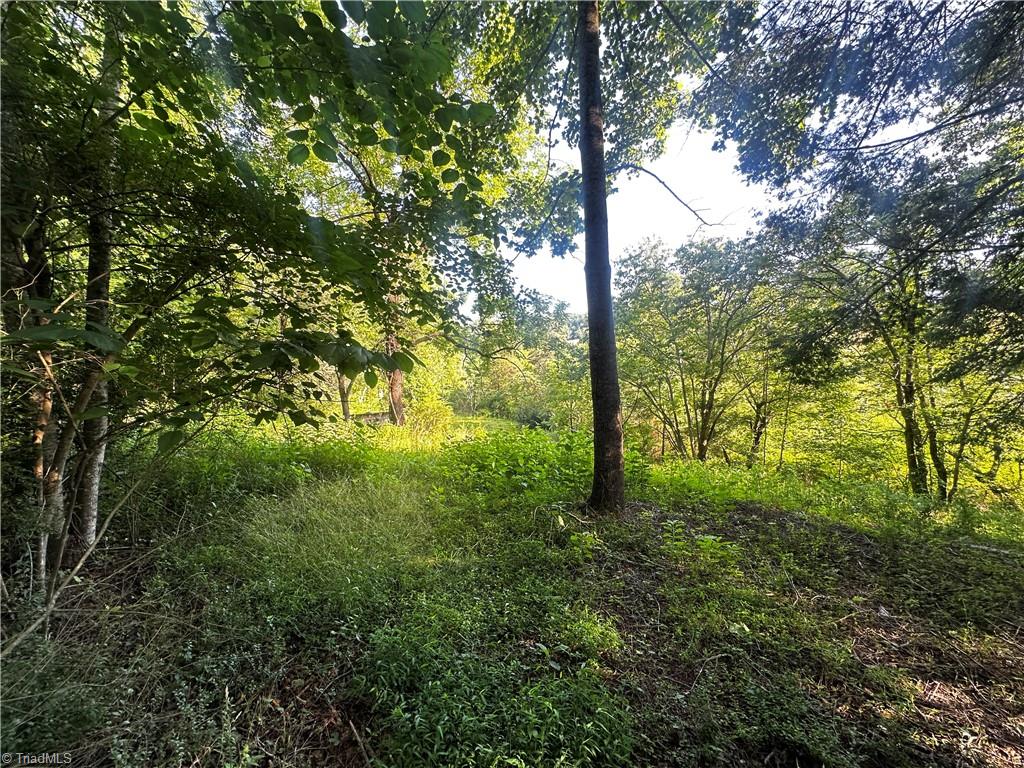 2034 Champion Mt Pleasant Road Property Photo 35