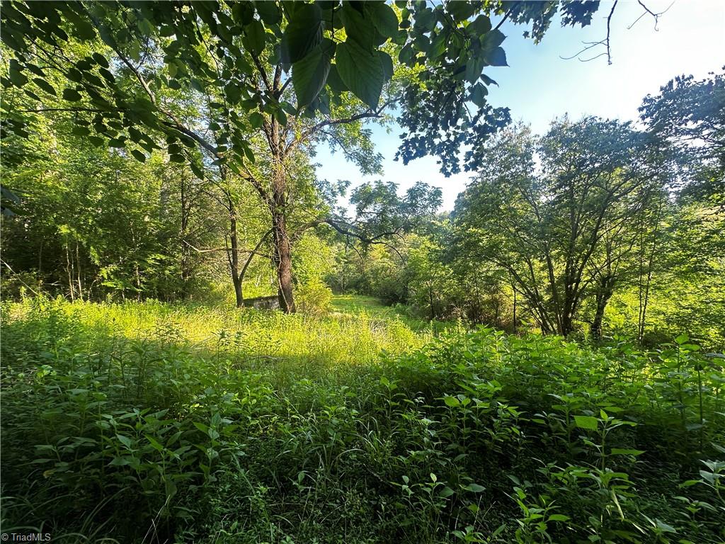 2034 Champion Mt Pleasant Road Property Photo 36