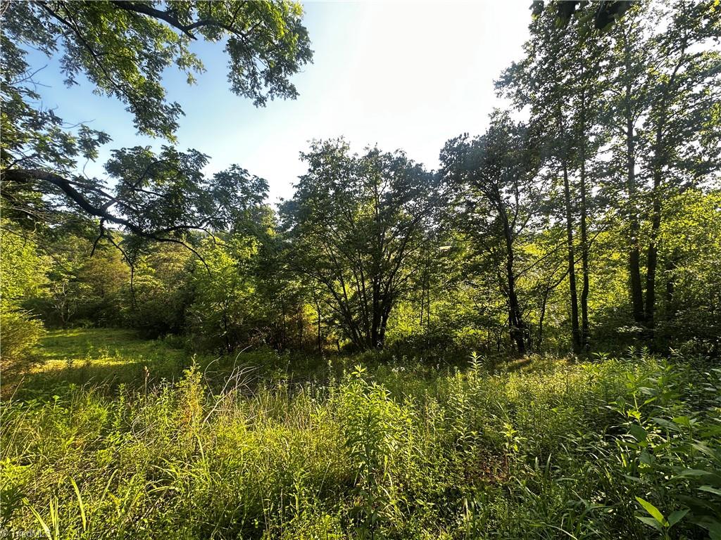 2034 Champion Mt Pleasant Road Property Photo 37