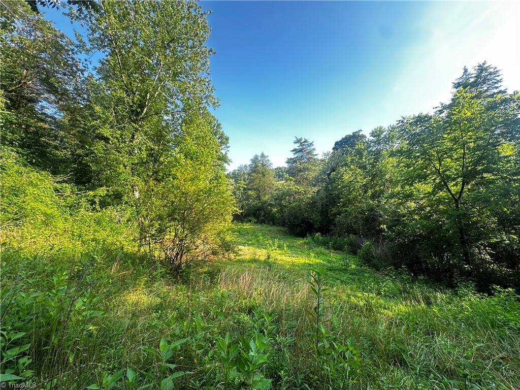 2034 Champion Mt Pleasant Road Property Photo 38