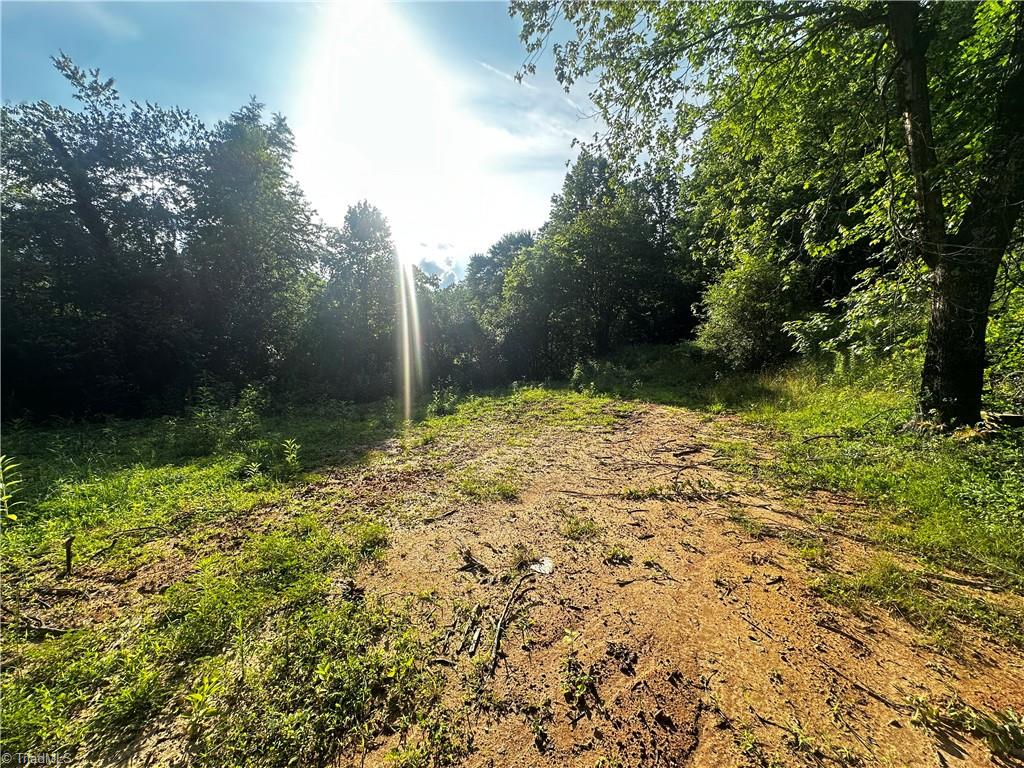 2034 Champion Mt Pleasant Road Property Photo 40