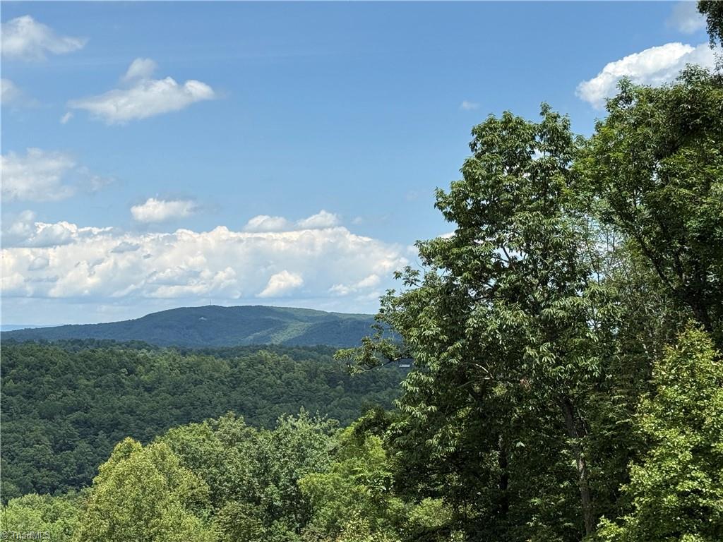 Lot 215 Casey Mountain Road Property Photo 3
