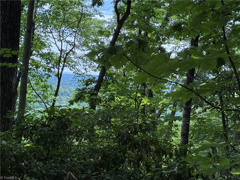 Lot 215 Casey Mountain Road Property Photo 4