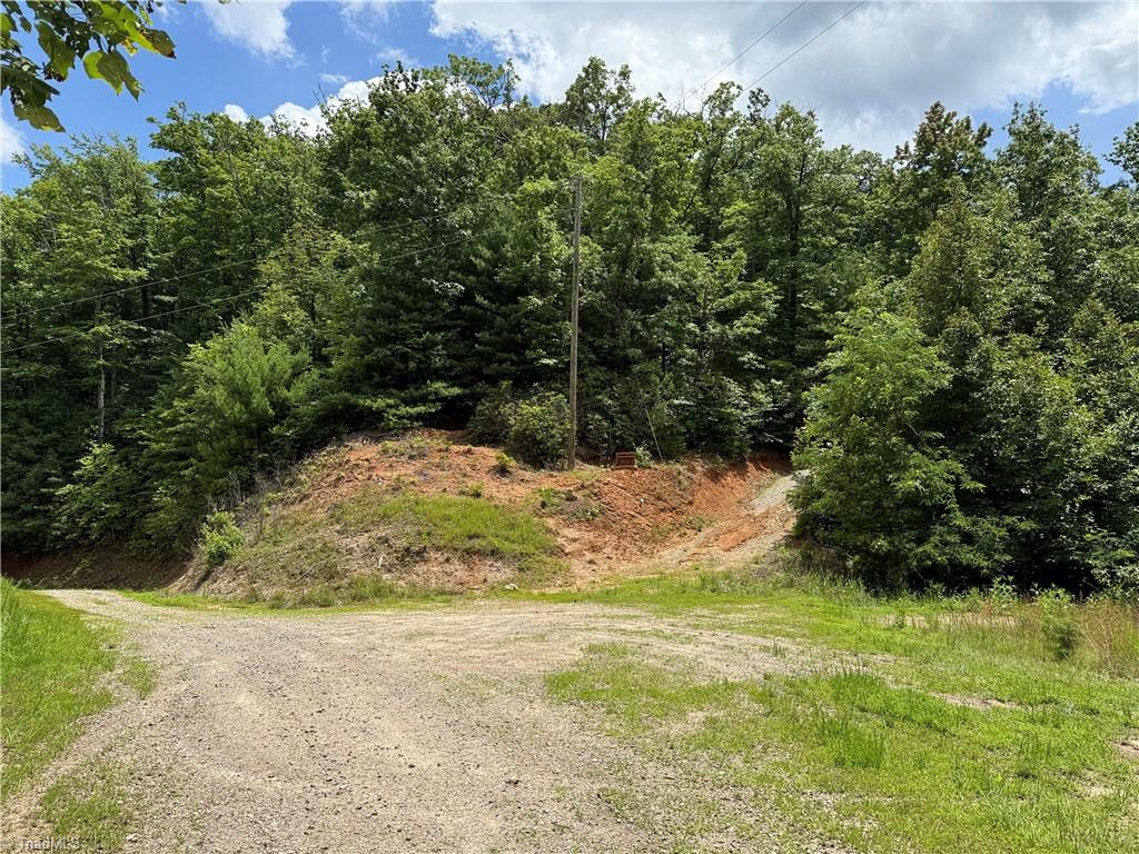 Lot 215 Casey Mountain Road Property Photo 5