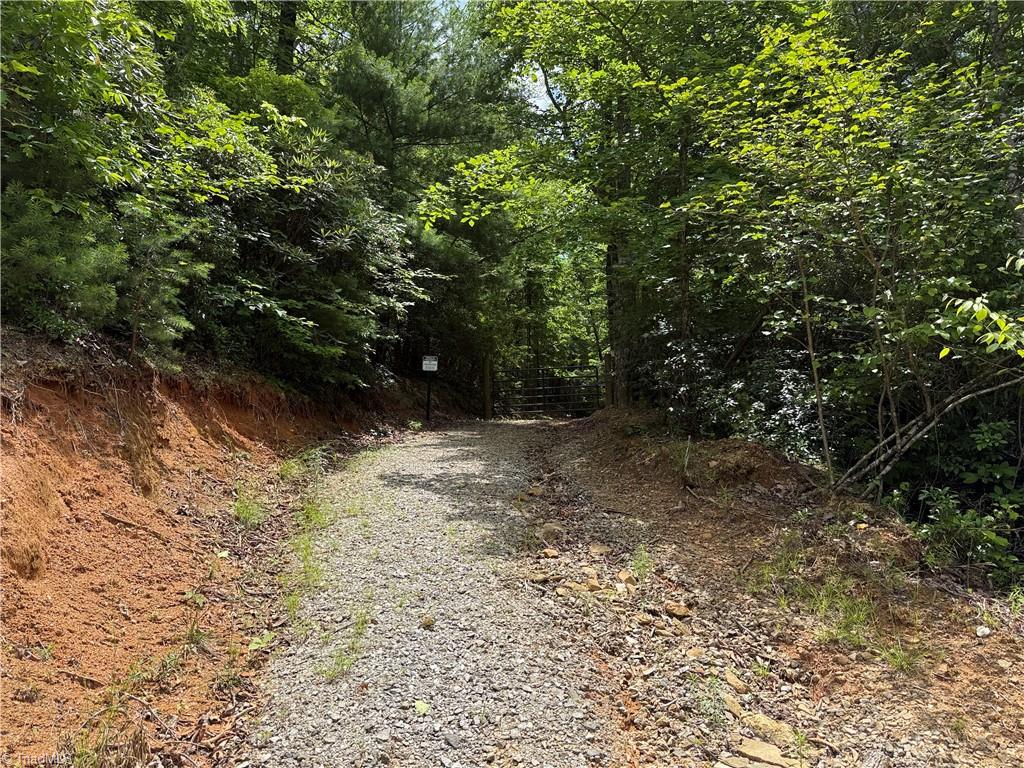 Lot 215 Casey Mountain Road Property Photo 7