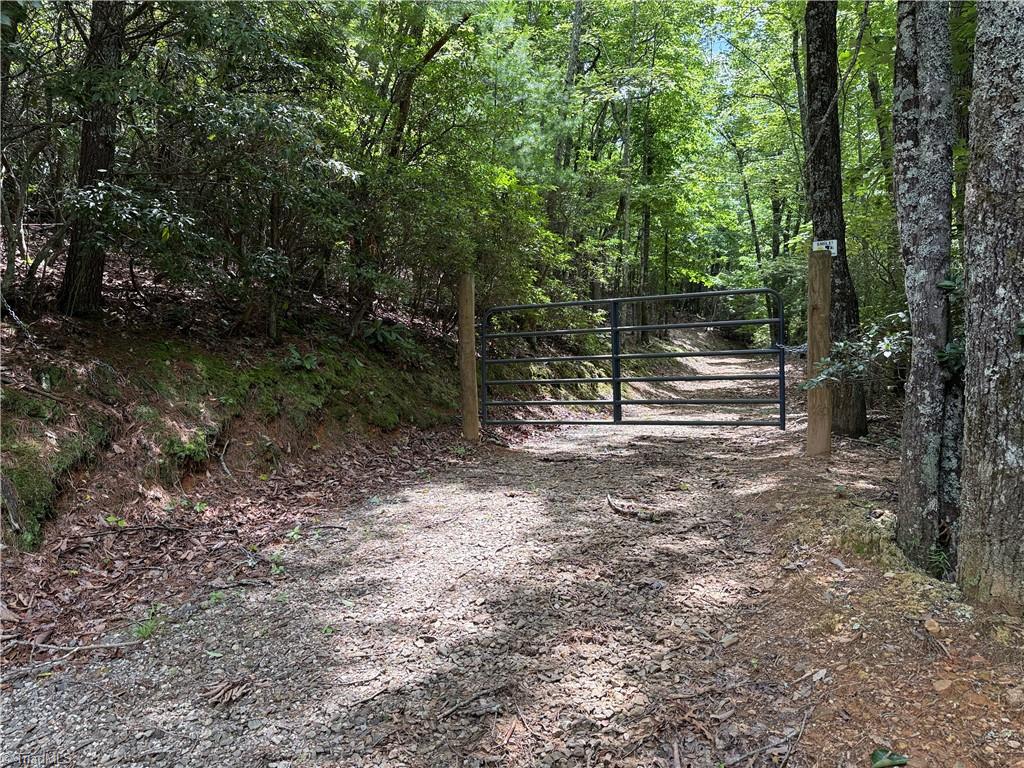 Lot 215 Casey Mountain Road Property Photo 8