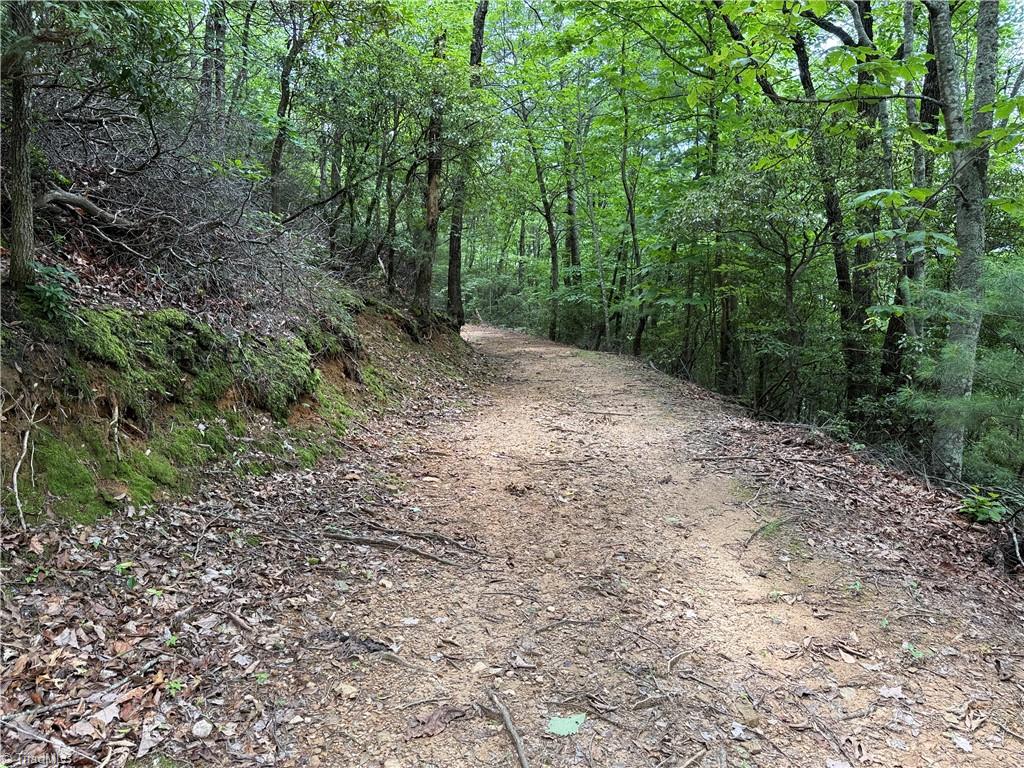 Lot 215 Casey Mountain Road Property Photo 9