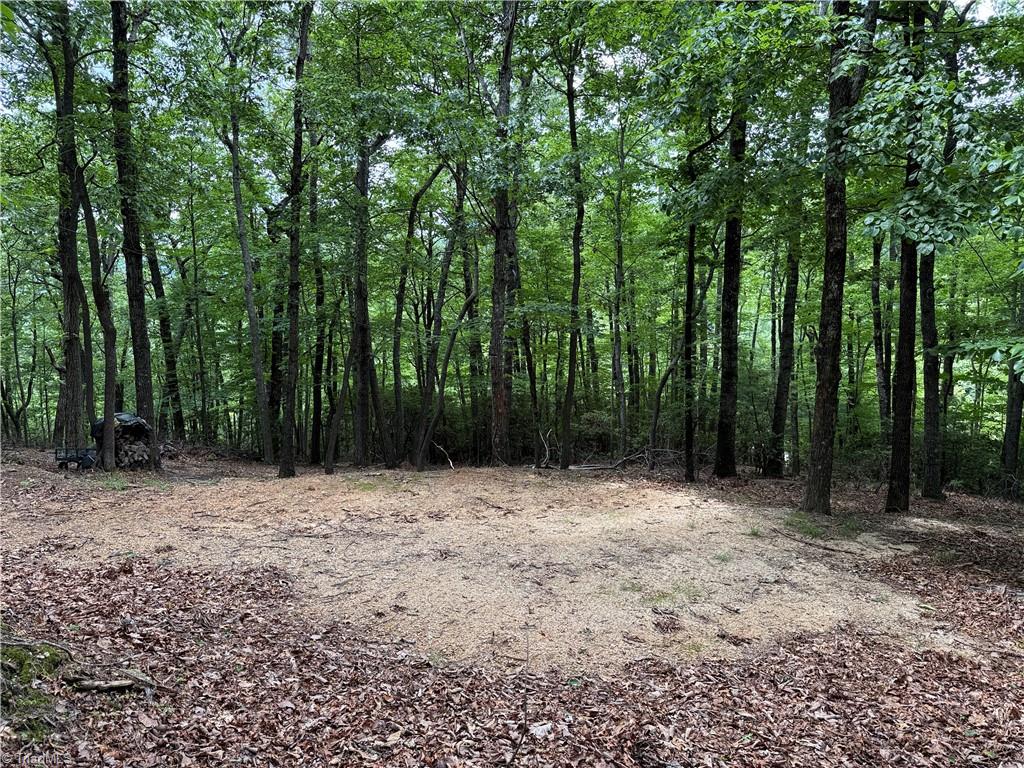 Lot 215 Casey Mountain Road Property Photo 10