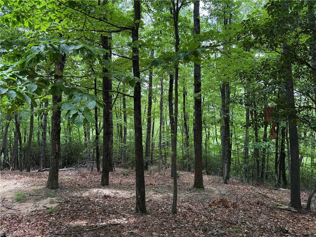 Lot 215 Casey Mountain Road Property Photo 11