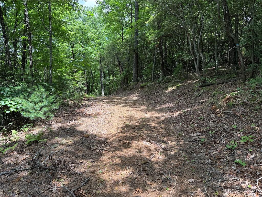 Lot 215 Casey Mountain Road Property Photo 12