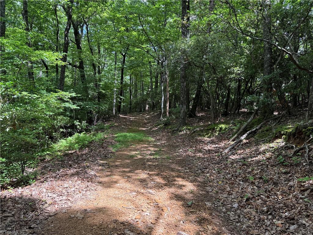 Lot 215 Casey Mountain Road Property Photo 13