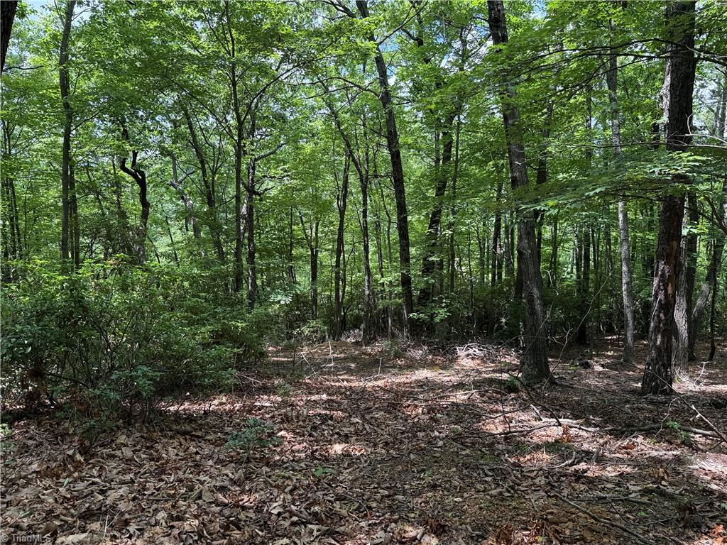 Lot 215 Casey Mountain Road Property Photo 14