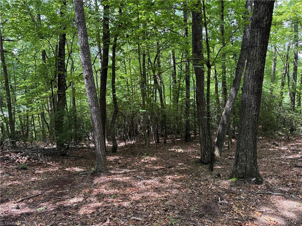 Lot 215 Casey Mountain Road Property Photo 15