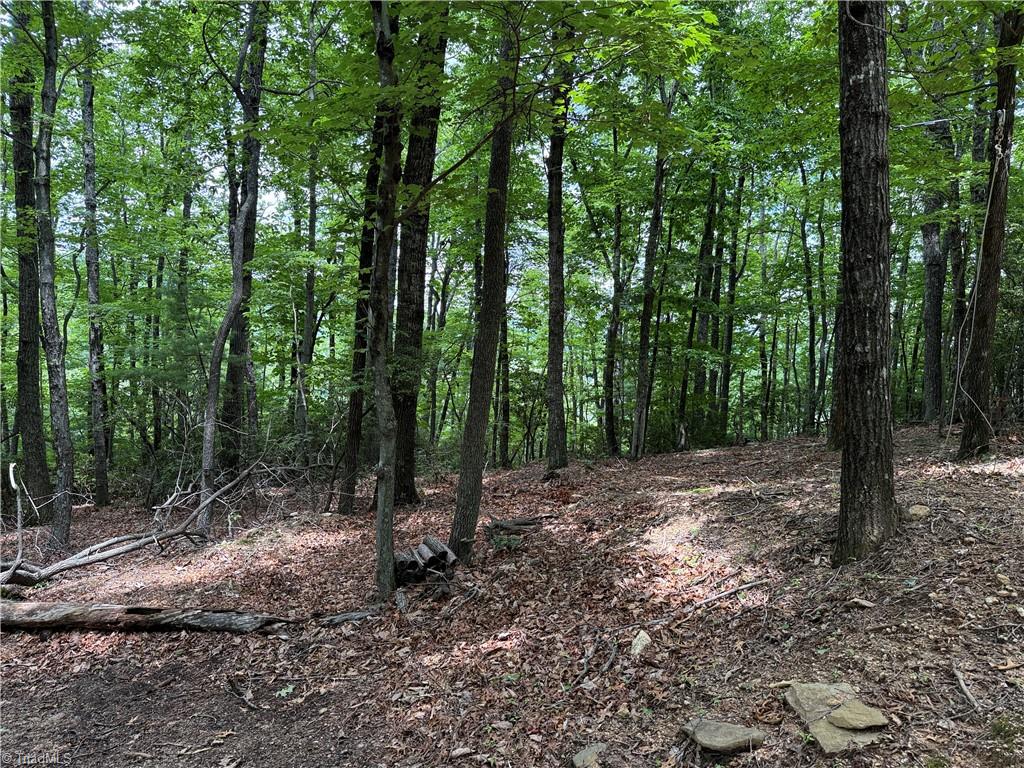 Lot 215 Casey Mountain Road Property Photo 16