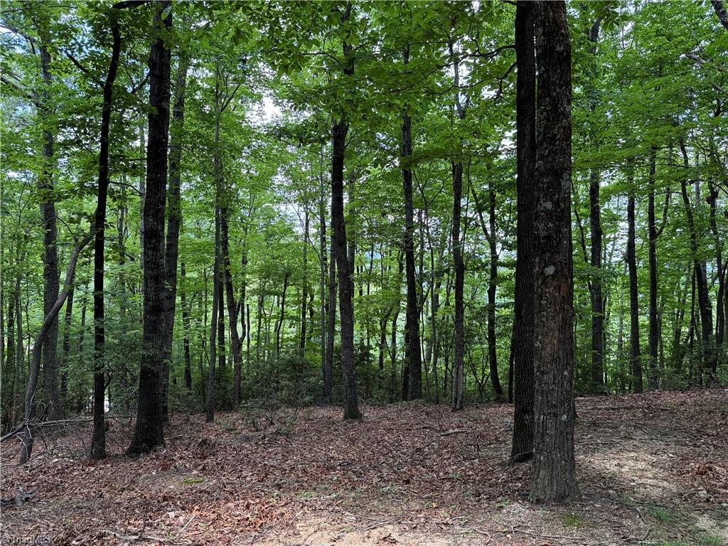 Lot 215 Casey Mountain Road Property Photo 17