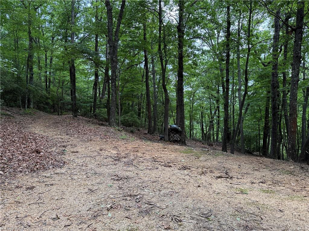 Lot 215 Casey Mountain Road Property Photo 19
