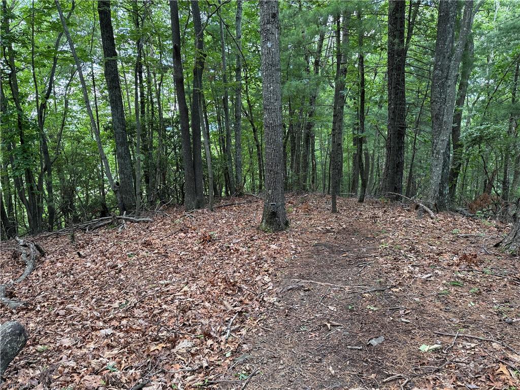 Lot 215 Casey Mountain Road Property Photo 20