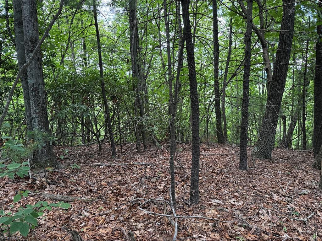 Lot 215 Casey Mountain Road Property Photo 22