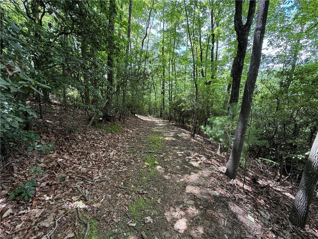 Lot 215 Casey Mountain Road Property Photo 23