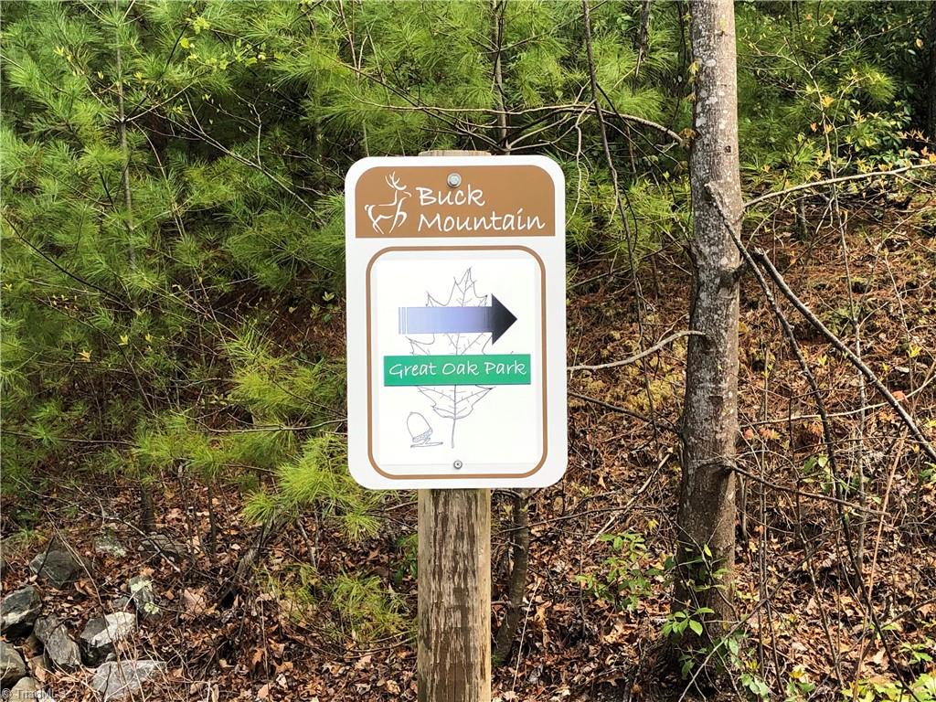 Lot 215 Casey Mountain Road Property Photo 31