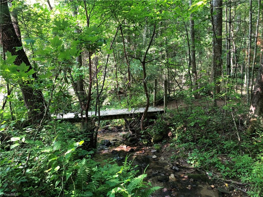 Lot 215 Casey Mountain Road Property Photo 38