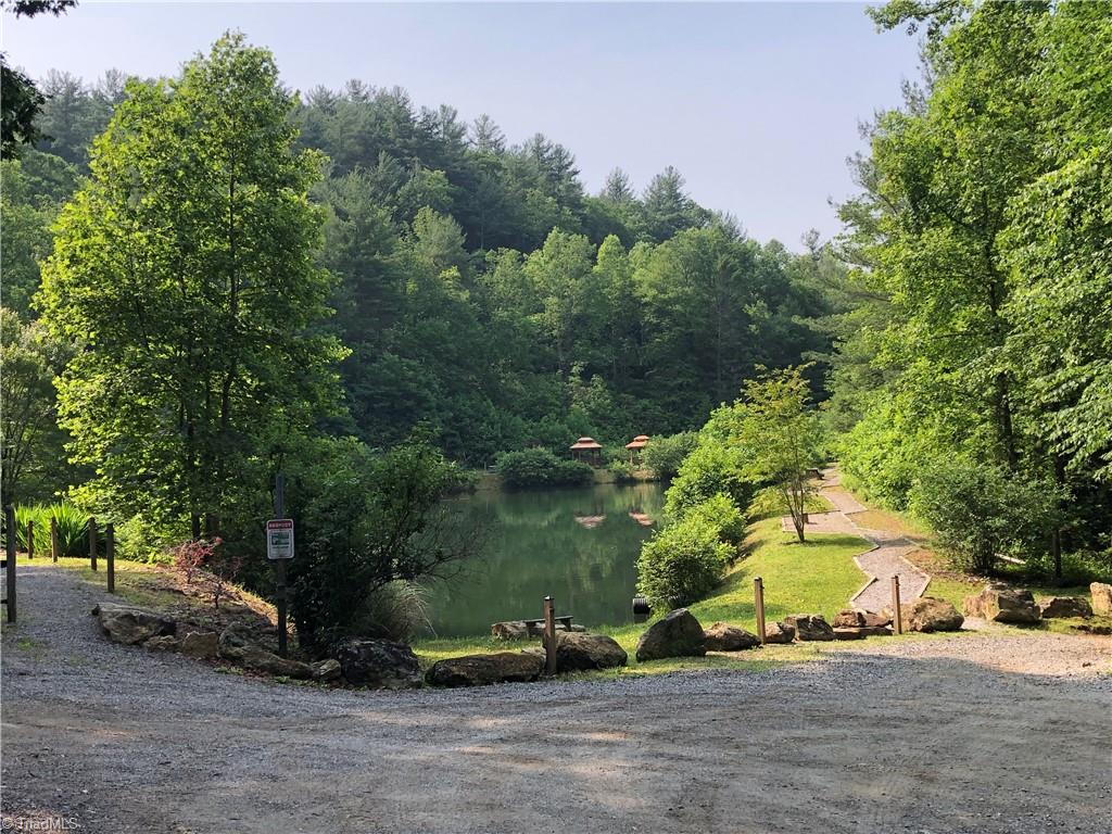 Lot 215 Casey Mountain Road Property Photo 39