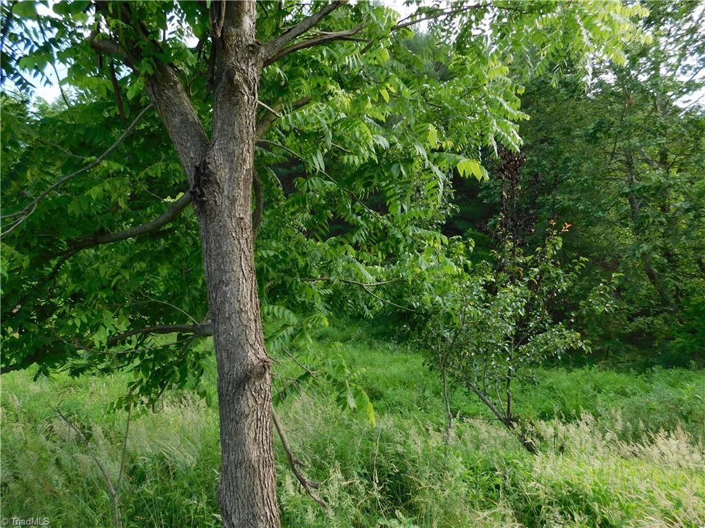 Tbd Lala Way Property Photo 1