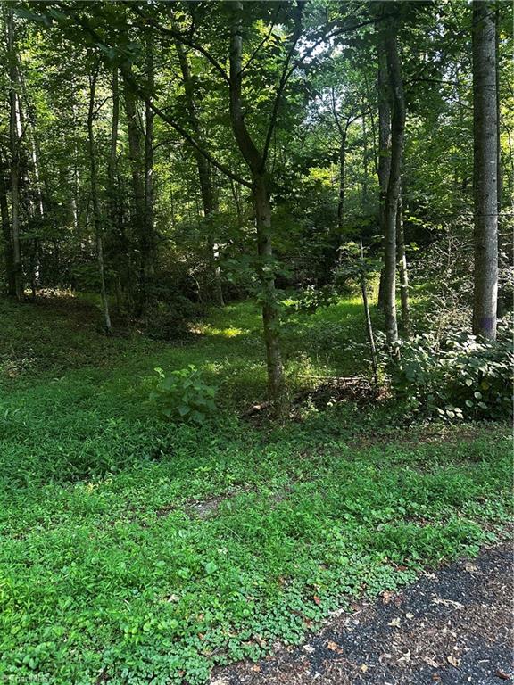 000 Walker Lane Property Photo 1