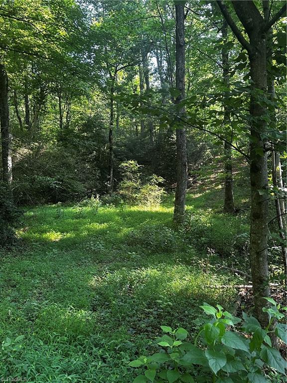 000 Walker Lane Property Photo 3
